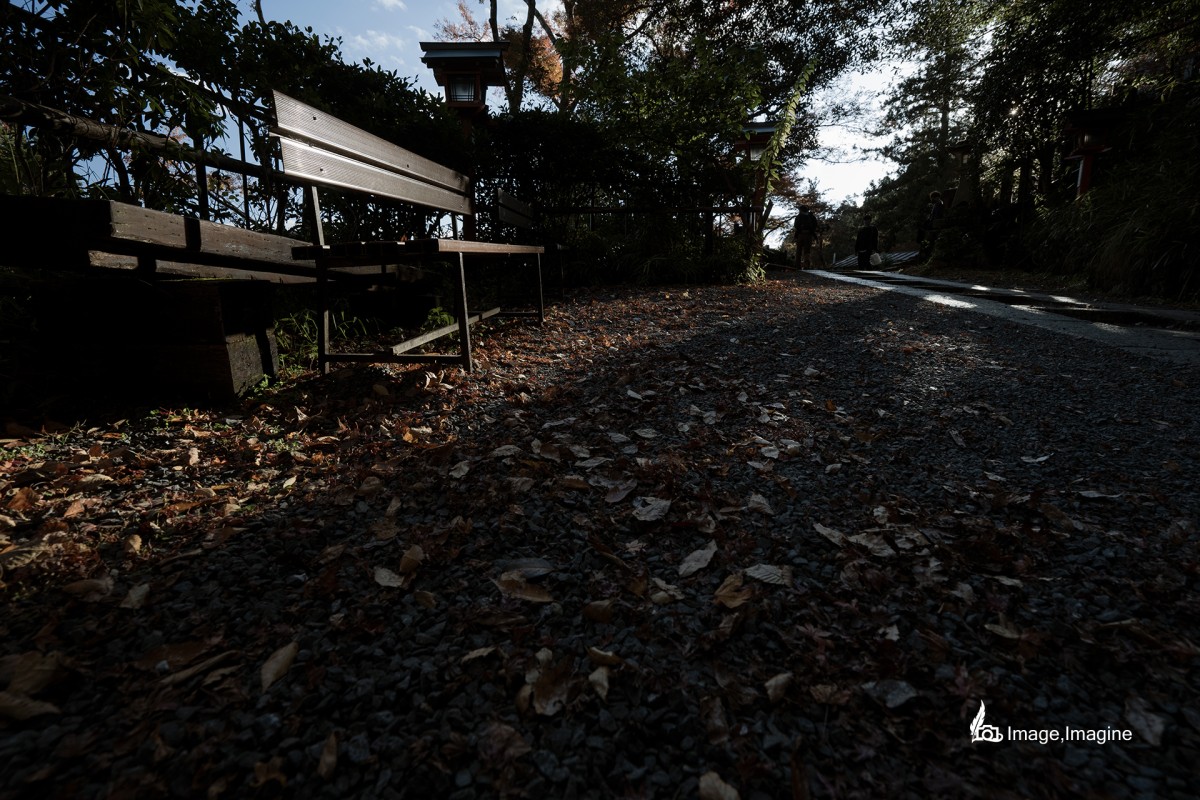 道中にあるベンチを撮影した写真。ベンチの周りの地面にはたくさんの落葉がある。またベンチには斜め上から差し込んでいる木漏れ日が当たっている。