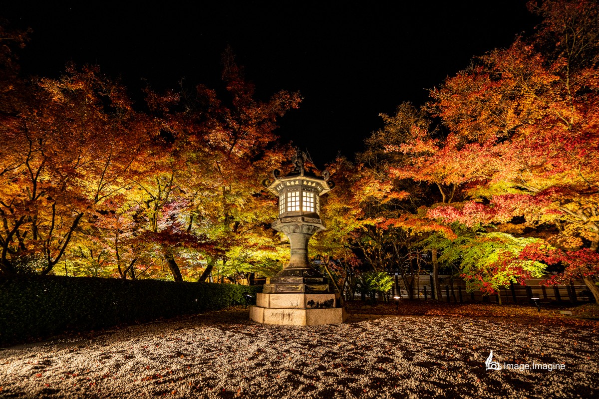永観堂でライトアップされた紅葉の木々を撮影した写真。写真の中央には灯篭が、下には砂利が、奥には紅葉の木々が見える。