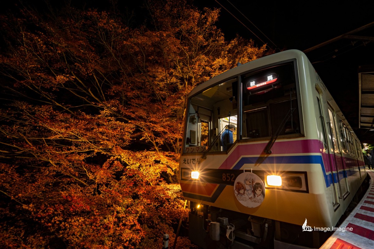 夜の駅のホームで電車を撮影した写真。電車はホームに停車しており、電車の奥にはライトアップされた大きな紅葉の木がある。